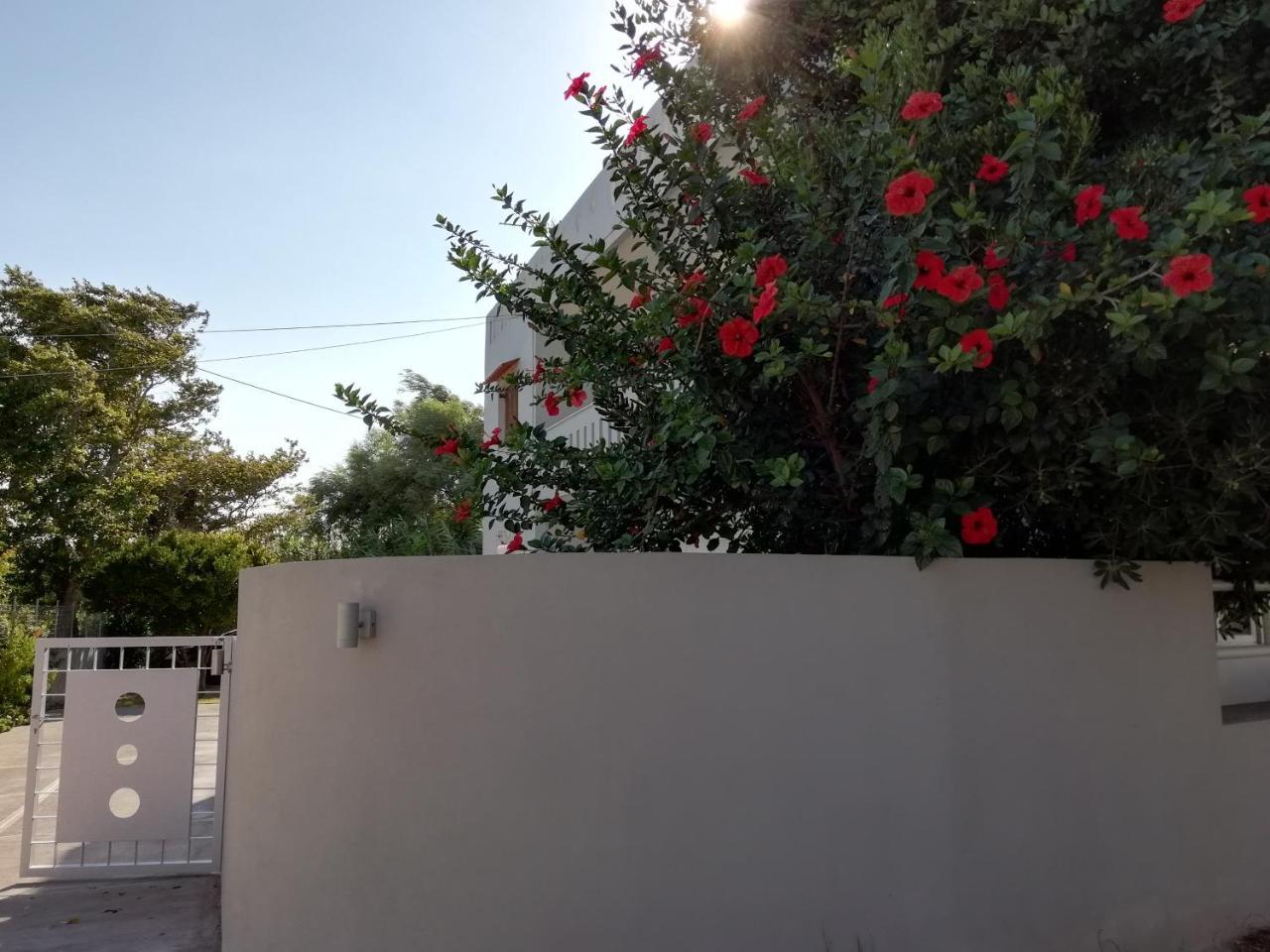Dimitris' & Valentina'S Home Plakias Buitenkant foto