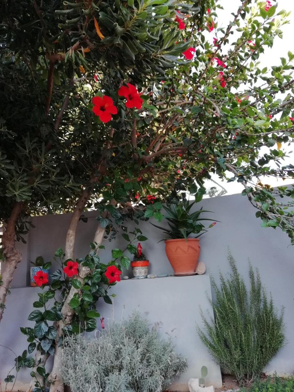 Dimitris' & Valentina'S Home Plakias Buitenkant foto